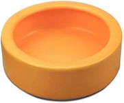 Reptile Food Dish Bowl, Worm Water 