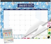 bloom daily planners 2025 Desk Cale
