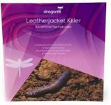 Dragonfli Leatherjacket Killer Nematodes 100 Square Metre Pack