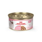 Royal Canin Canned Kitten Foods