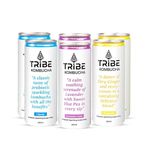 Tribe Kombucha Naturally Sparkling Probiotic Super Drink| Herbs, Spices, Ginger,Lemon, Lavender & Blue Pea Flower | Gut Friendly | Antioxidant and Hydration |250 ML (Classic, Gingerade, Lavender, 6)