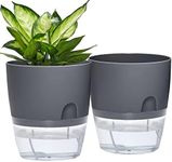 Self Watering Planter for Indoor Pl