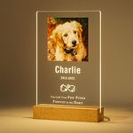 Bemaystar Personalized Dog Memorial Gifts Custom Photo Night Lights for Grieving Pet Owners, Pet Loss Gifts Dog Memorial Sympathy Gifts with Picture Name Date Customized Plaque