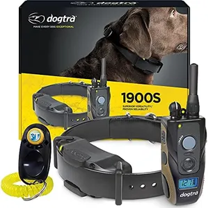 Dogtra 190