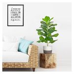 TIED RIBBONS 2.2 Feet Large Size Artificial Plant Fiddle Leaf Fig Tree Fake Ficus Lyrata Plant Faux Plants in Pot for Indoor Outdoor House Home Office Garden Decoration (2.2 ft)