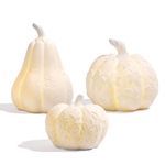 Blivergowell Set of 3 Large Ceramic Pumpkin with Light, Thanksgiving Table Decorations Decorative White Pumpkins Fall Centerpiece Table Decorations for Home