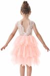 2Bunnies Girl Peony Lace Back A-Line Tiered Tutu Tulle Flower Girl Dress (No Applique Pink, 3T)