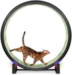 One Fast Cat - Cat Exercise Wheel -