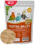 BOLTZ Premium Foxtail Millet (Kangni Seeds) 500 gm, Bird Food for Canaries, Finches, Waxbills, Budgies, Lovebirds, Cockatiels, 500 gm