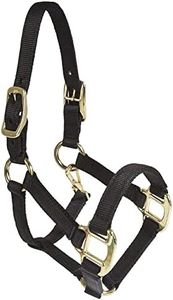 Intrepid International Nylon Miniature Horse Halter, Black, Mini