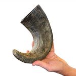 WhiteTail Naturals - Giant Water Buffalo Horns for Dogs (XX-L) All-Natural Dog Bone - Long Lasting Dog Horn Toy for Aggressive Chewers.