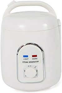 WUPYI2018 Generador de vapor Mini SPA de 1,8 l, generador de vapor, vapor, vapor, vapor, casa