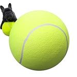 Gohemsun Tennis Balls for Pet Playg