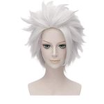FALAMKA Grey Wig Short Layered Wig White Anime Cosplay Costume Halloween Wig for Adult