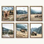 YUMKNOW Farmhouse Cow Wall Decor - Unframed Set of 6, 8x10, Modern Country Highland Cow Pictures for Bathroom, Bedroom Cottage Rustic Art Vintage Posters for Living Room Cow Decor, Blue Stuff Gifts