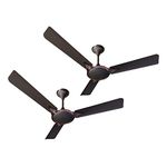 ACTIVA 1200mm High Speed 390 RPM Bee Approved pure Copper Windsor Anti Dust Coating Ceiling Fan Comes with 2 Year Warranty Pack of 2 (SMOKE BROWN)