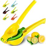 Zulay Metal 2-In-1 Lemon Lime Squee