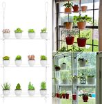 Clear Hanging Window Plant Shelves,