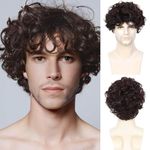 QUEENTAS Brown Men Wig Short Curly Hair Wig for Men Full Head Synthetic Clown Joker Wigs for Man Cosplay Diwali