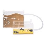 AntHouse - Natural sand ant farm - Big Acrylic Wall Set