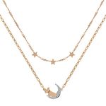 RADLEY Ladies 18ct Rose Gold Plated Two Tone Dog in Moon Necklace RYJ2211S