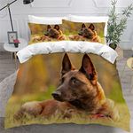 LUORU Kids Single Duvet Cover Set Single Bedding Kids Teenage Single Bed Duvet Cover Set Boys Girls Belgian Shepherd Dog Brown Dog Bedding Anti-Allergic Duvet Cover with Zipper Closure