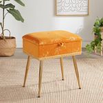 Soohow Vanity Chair Storage Vanity Stool Ottoman Foot Rest, Makeup Vanity Stool with Gold Hot Stamping, Vanity Chair for Makeup Room, Foot Stool for Living Room, Bedroom, Storage Ottoman，Metal Legs