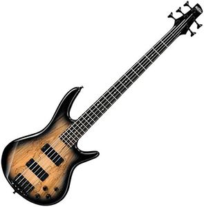 Ibanez GSR205SM 5 String Electric Bass Natural Grey Burst w/Spalted Maple Top