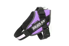 Julius-K9 IDC-Power Harness, Purple, Size: 0/58-76 cm/23-30"