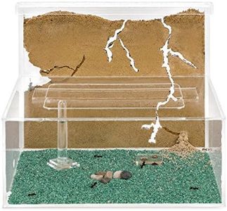 AntHouse - Fourmilière Naturelle en Sable | Kit L (Sandwich + Caisse de Fourrage) | Fourmis Incluses