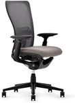 Haworth Zody Standard Posture Mesh Office Chair – Ergonomic Desk Chair with Pneumatic Seat Height Adjustments and Forward Tilt Option - with Lumbar Support (Steel)