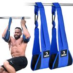 DMoose Fitness Hanging Ab Straps for Pull Up Bar & Core Strength Training - Thick Padded Arm Strap for Ab Swing with 2 Rust-Resistant Carabiners - Pull Up Straps for Ab Workouts at Home and Gym (Pair)