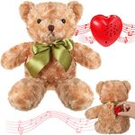 Bear Stuffed Animals with Voice Recorder Set, 60 Seconds Voice Sound Recorder Module 16 Inch Soft Plush Bear Cute Stuffed Bear with Zipper Sound Box Recordable Heart for Boys Girls (Brown)