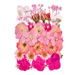 15 Types 37pcs Pink Dried Pressed Flowers for Resin Molds,Real Natural Pressed Flowers for DIY Art Crafts,Candle Making, Nails Décor,Soap Making, Phone Case