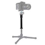 Monopod With Tripod Mounts