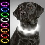 Joytale Light Up Dog Collar,LED Flashing Dog Collar for Night Walking, Rechargeable Glow Collars for Puppy Small Medium and Large Dogs,White