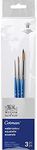 Winsor & Newton 5390607 Cotman Watercolour Synthetic Hair 3 Brushes in Set with Excellent Bounce, Colour Carrying Capacity and Point Accuracy - 3 Round Brushes No. 0, 4, 8