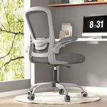 Office Chair, Ergonomic Desk Chair with Adjustable Lumbar Support & Seat Height, High Back Mesh Computer Chair with Flip-up Armrests Task Chairs (Modern, Iron Gray with Gray Frame)