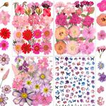 35 Types 146PCS Pink Dried Pressed Flowers with Butterfly Stickers - Youthbro Real Nature Flowers Set for Resin Jewelry Candle Soap Vase Making Nail Card Scrapbook Art Craft Floral Decors