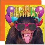 Monkey Birthday Cards for Men Women - Monkey Party - Funny Happy Birthday Card for Brother Sister Son Daughter Mum Dad Friend Colleague Nan Grandad, 145mm x 145mm Humour Joke Bday Greeting Cards