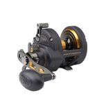 PENN Fathom® II Star Drag Reel, Saltwater Fishing Reel, Conventional Reels, Sea - Nearshore/Offshore Fishing, Shore and Kayak Fishing, Unisex, Black Gold, 25 | Right Hand | 6.1:1