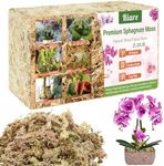Riare 1kg Dried Forest Moss Natural