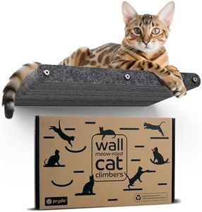 Cat Wall B