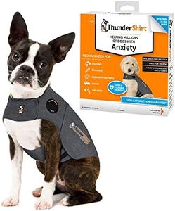Thundershi