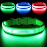 YFbrite Light up Dog Collar, Full Adjustable Rechargeable LED Dog Collar, Full Illuminated Dog Collar Light, Bright Dog Collar Safety Glowing at Night (Design 2-Green, Large)