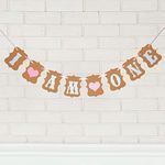 SwirlColor 1st Birthday Banner Girl, I AM ONE Banner Easy to Use Upgrade First Birthday Decorations Girl 1st Birthday Party Bunting Banner Baby Shower Decorations Pink