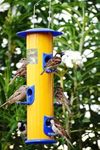 Amijivdaya Metal Large Bird Feeder, 6 Nozzle