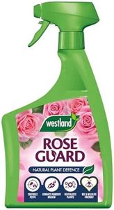 Westland R