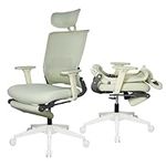 Foldable Ergonomic Office Chair, Hi