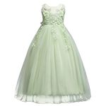 MYRISAM Flower Girls Princess Tulle Lace Pageant Dress Embroidery Wedding Bridesmaid Birthday Carnival Christmas Graduation Dance Party Floor Length Ball Gown Light Green 11-12T